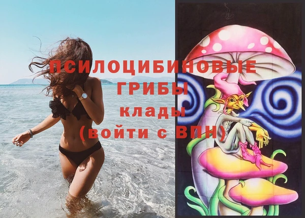 прущие крисы Куйбышев
