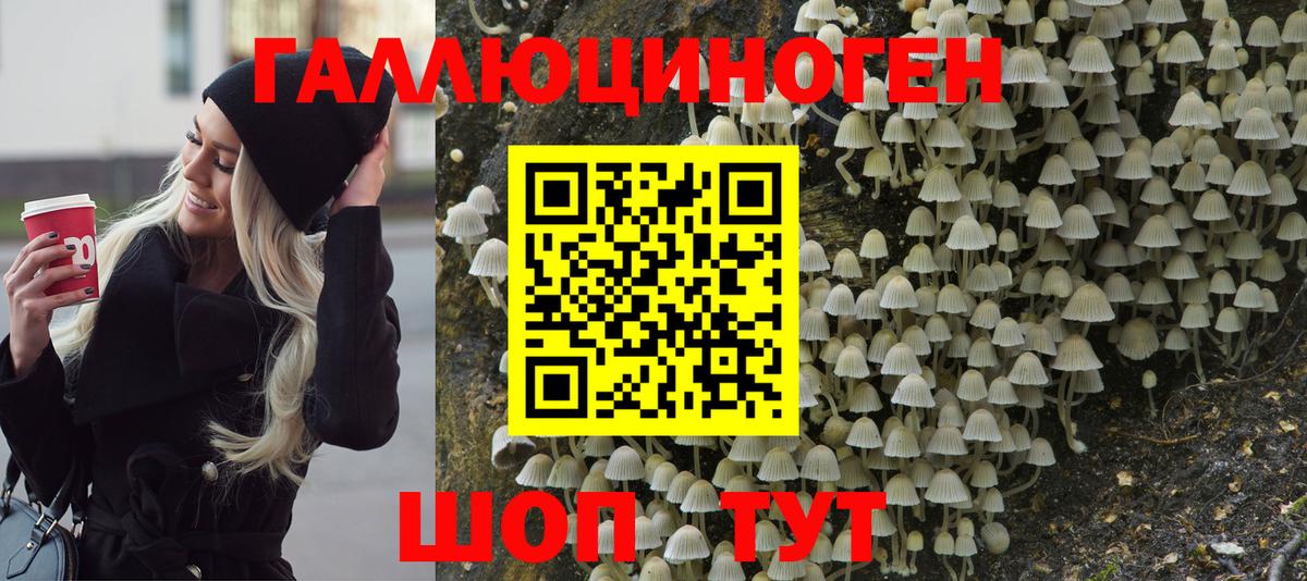 Псилоцибиновые грибы мицелий Усинск